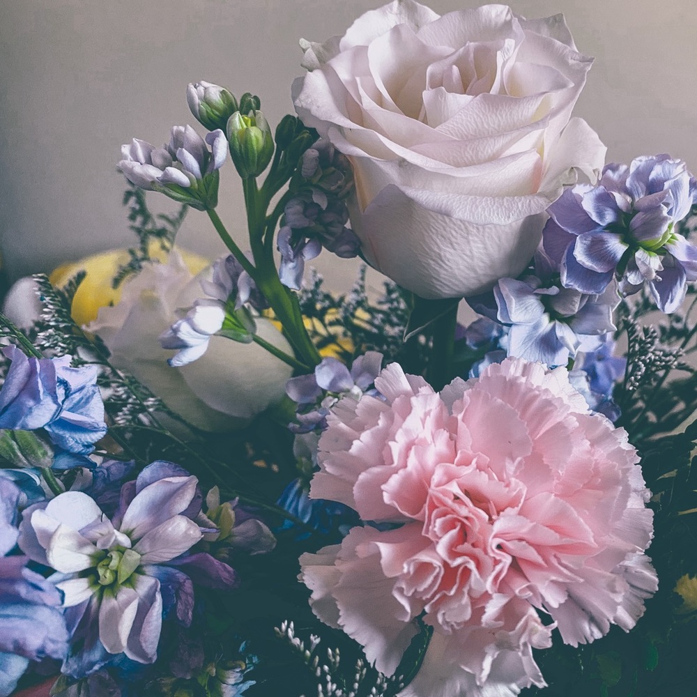 Meet your Posher, Kate